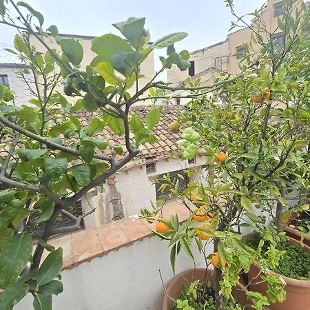Casa Louisa - Rooftop House *