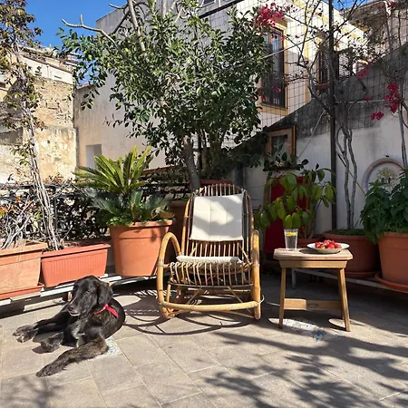 Apartman Casa Louisa - Rooftop House *